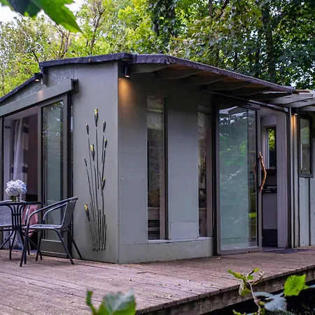 The Cwtch - Woodland Cabin With Country Views! Begelly Exterior photo