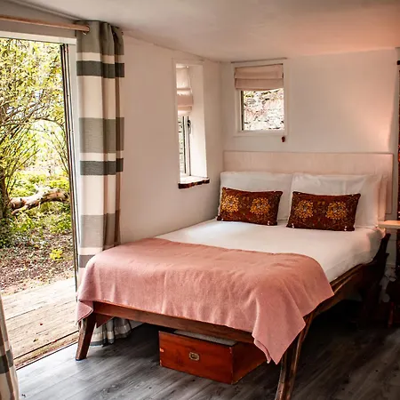 The Cwtch - Woodland Cabin With Country Views! Begelly Exterior photo