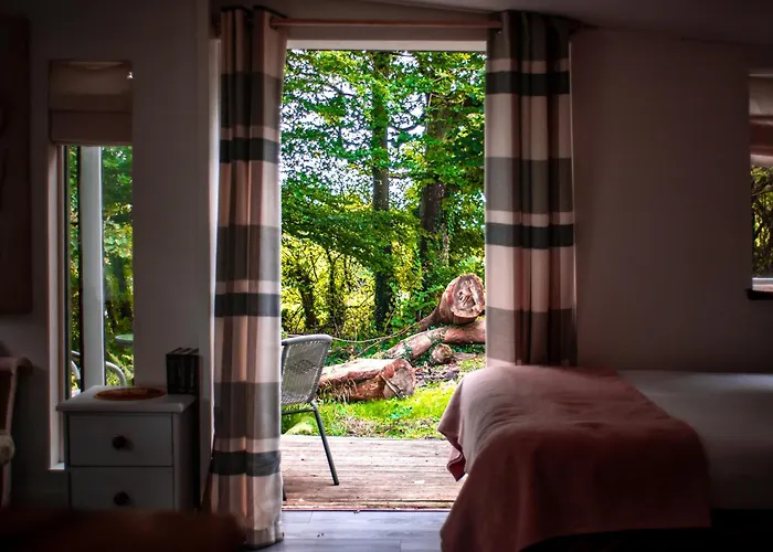 The Cwtch - Woodland Cabin With Country Views!